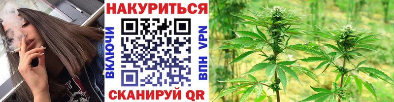 МАРИХУАНА гибрид  где найти   Балашов 